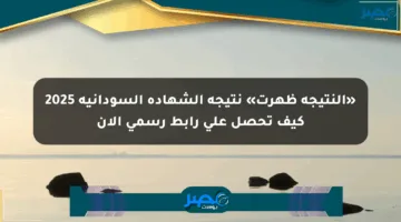 «النتيجة ظهرت» نتيجة الشهادة السودانية 2025 كيف تحصل على رابط رسمي الآن